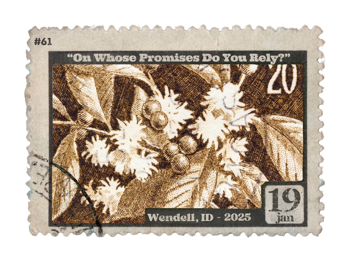 Stamp 56